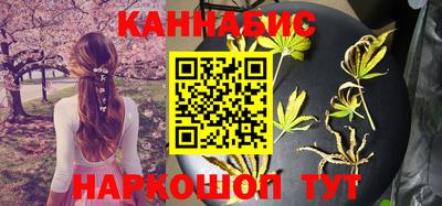мдпв Славгород