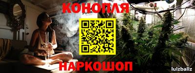 мдпв Славгород