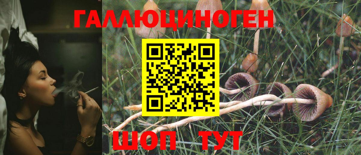 Псилоцибиновые грибы мухоморы Электросталь